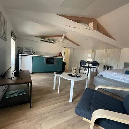 Studio Neuf Lumineux Climatise Бле Екстер'єр фото