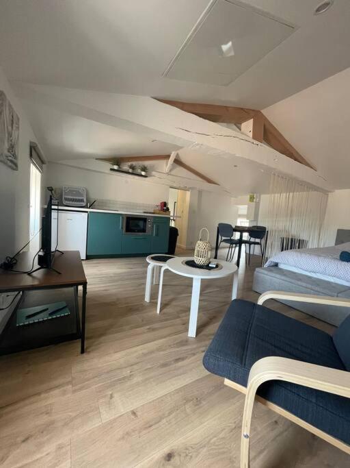 Studio Neuf Lumineux Climatise Бле Екстер'єр фото