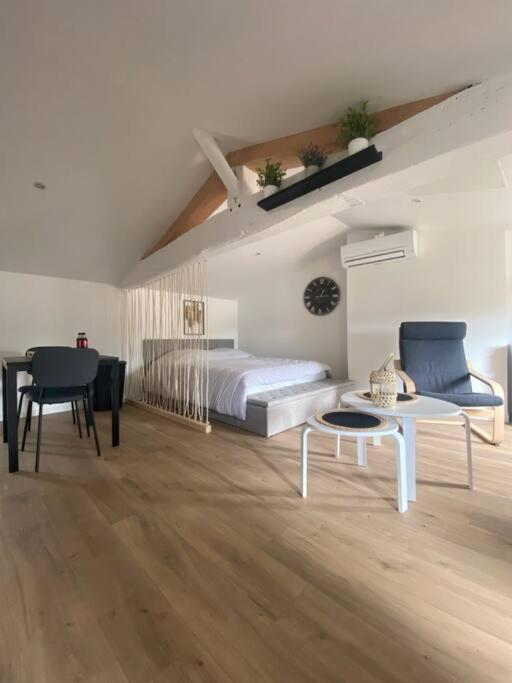 Studio Neuf Lumineux Climatise Бле Екстер'єр фото